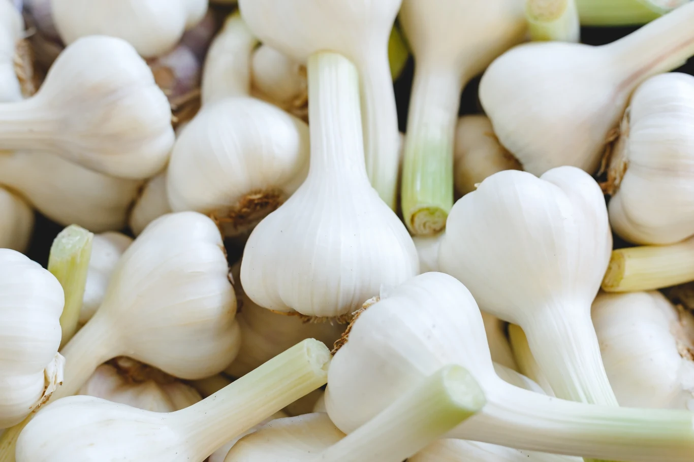 Ojciec Klimuszko opracował własną, czosnkową kurację