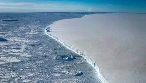 Topnieje lodowiec na Antarktydzie. Poziom mórz może znacznie się podnieść