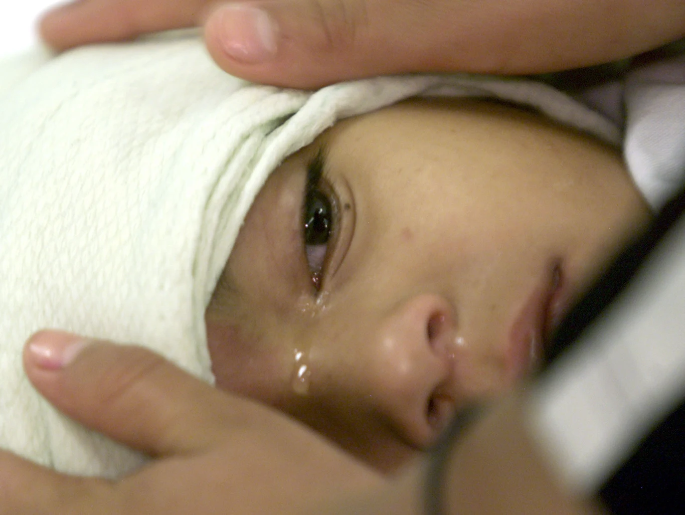 Gorączka Denga rozprzestrzenia się na coraz więcej rejonów. Choroba jest przenoszona przez komary