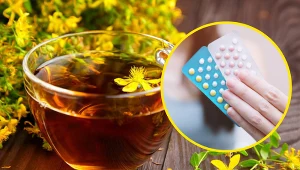 Nie stosuj dziurawca biorąc leki antykoncepcyjne. Mogą nie zadziałać