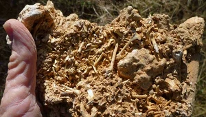 Rynki boją się suszy 