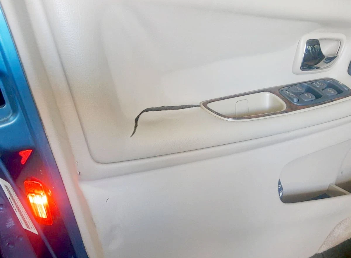 Starsze auta były lepiej wykonane? Zdaniem ADAC mamy do czynienia z "sinusoidą" Starsze auta były lepiej wykonane? Zdaniem ADAC mamy do czynienia z "sinusoidą"