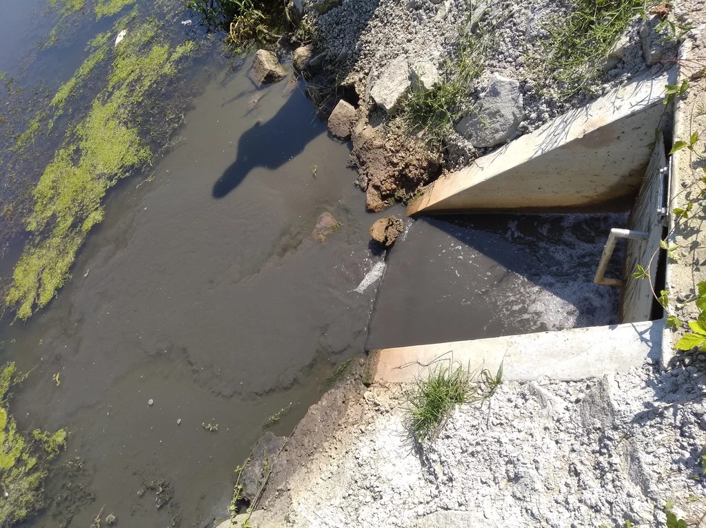 Mieszkańcy Oławy relacjonują, że problem z zanieczyszczaniem Odry w tych okolicach ciągnie się już od lat