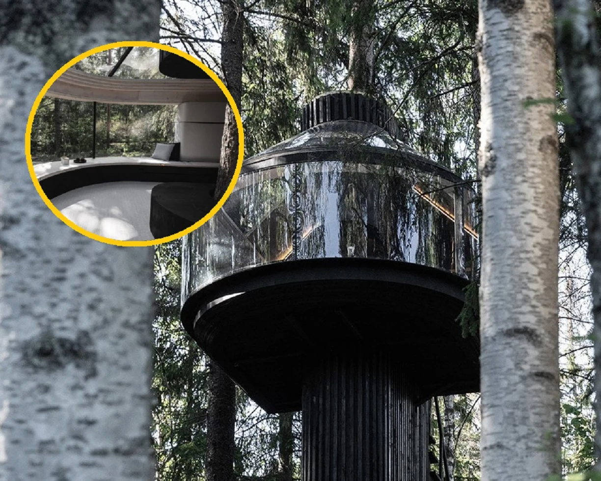 Domek koja "otula" drzewo. To idealne lokum dla ekologów. Domek koja "otula" drzewo. To idealne lokum dla ekologów.