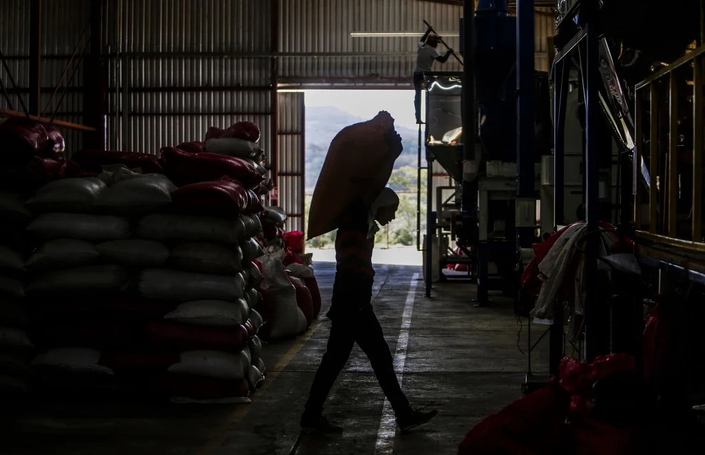 Rynek kawy to ogromne pieniadze