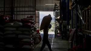 Rynek kawy to ogromne pieniadze