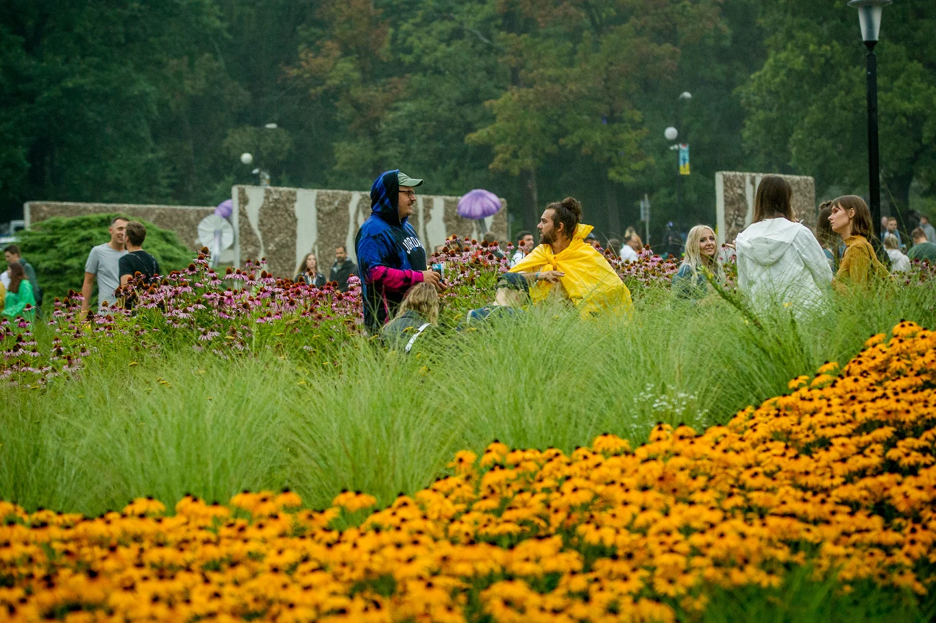 Publiczność na Fest Festival