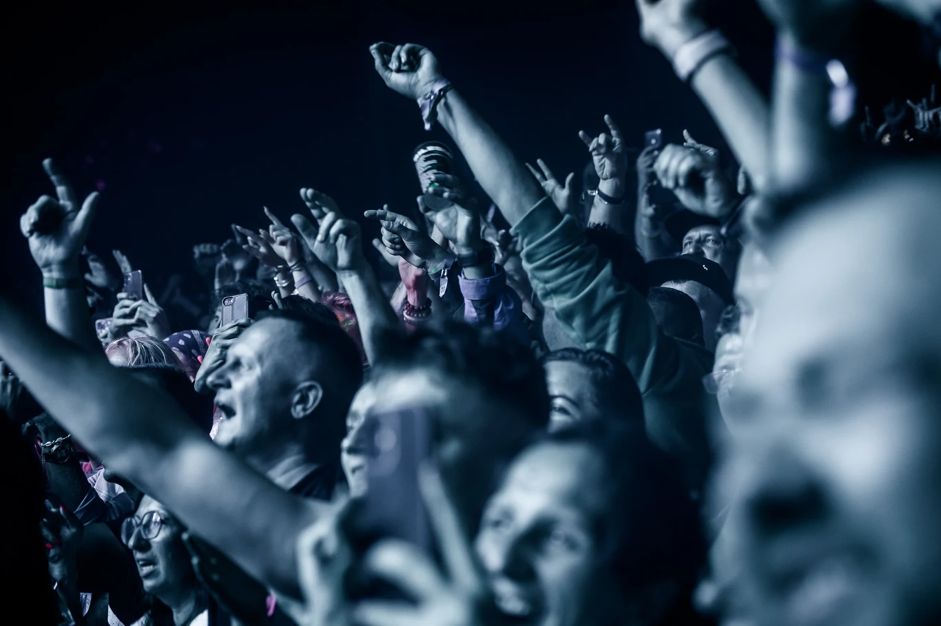 Publiczność Fest Festival na koncercie Scootera