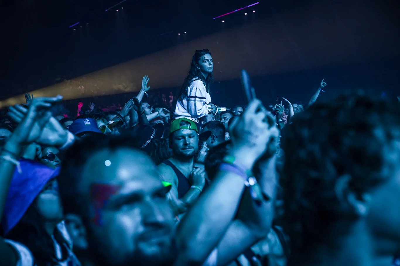 Publiczność Fest Festival na koncercie Scootera