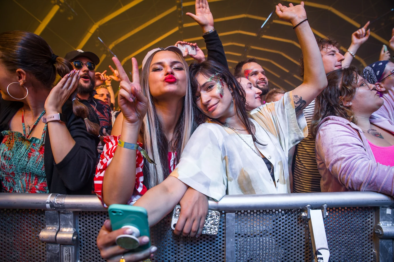 Publiczność Fest Festival na koncercie Scootera