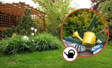 Narzędzia ogrodowe przydatne w „sierpniowym ogrodzie”