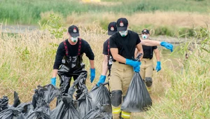 Straż pożarna podała wagę martwych ryb, które do tej pory wyłowiono z Odry i Wisły. Liczba jest ogromna