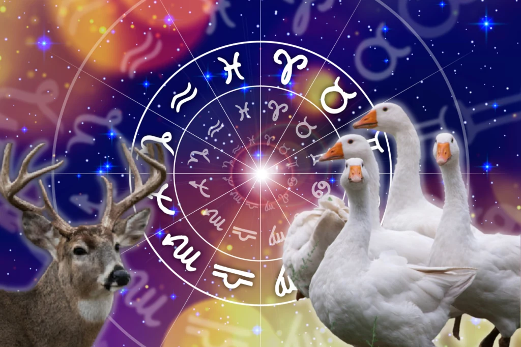 Sprawdź, jakim zwierzęciem z indiańskiego horoskopu jesteś