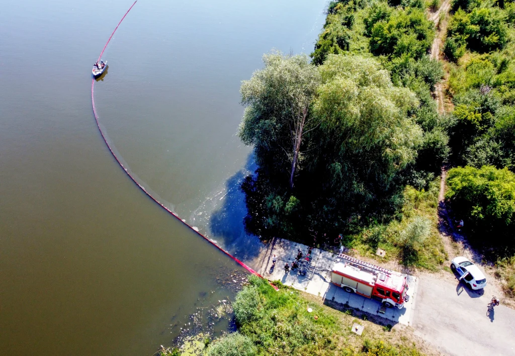 Polskie służby oczyszczają rzekę z martwych ryb Polskie służby oczyszczają rzekę z martwych ryb