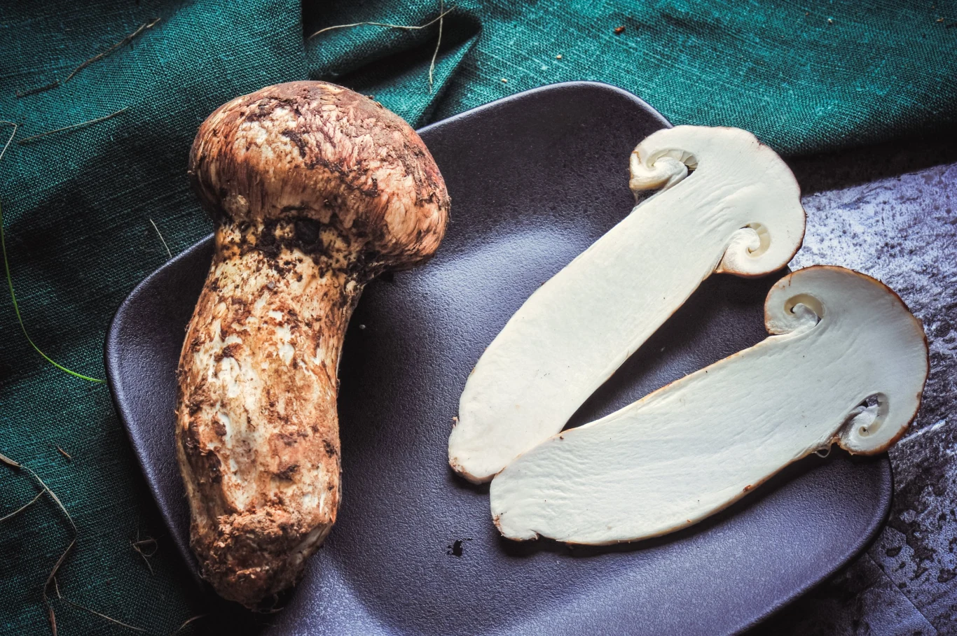 Gąski sosnowe (w Azji znane jako Matsutake) są doceniane za cynamonowy aromat Gąski sosnowe (w Azji znane jako Matsutake) są doceniane za cynamonowy aromat