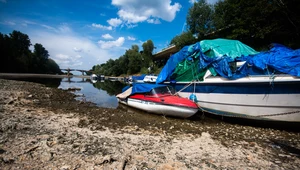 Rzeki w Europie umierają. Wyschnięte źródła, gorąca woda i brak tlenu 