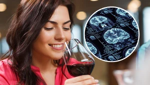 Spożywanie nawet niewielkiej dawki alkoholu niekorzystnie wpływa na funkcjonowanie układu nerwowego