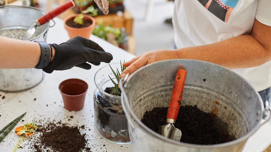 Podczas "Earth Festival" 2022 odbywają się m.in. warsztaty ekologiczne i sadzenie roślin