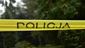 Szczątki noworodka znaleziono w odludnej części miasta 