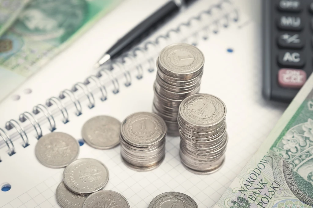 Ile na rynku FX kosztował złoty w poniedziałek 18.11. Zdj. ilustracyjne