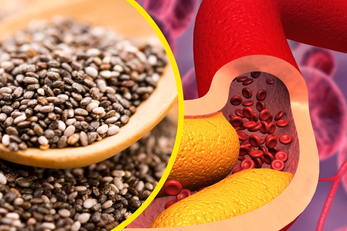 Ze względu na zawartość kwasów omega-3, chia wspiera pracę układu krążenia Ze względu na zawartość kwasów omega-3, chia wspiera pracę układu krążenia