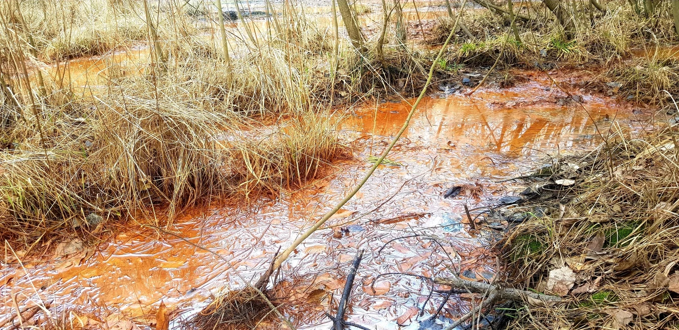 Pomarańczowe rzeki w Jaworznie. Rejon potoku Wąwolnica