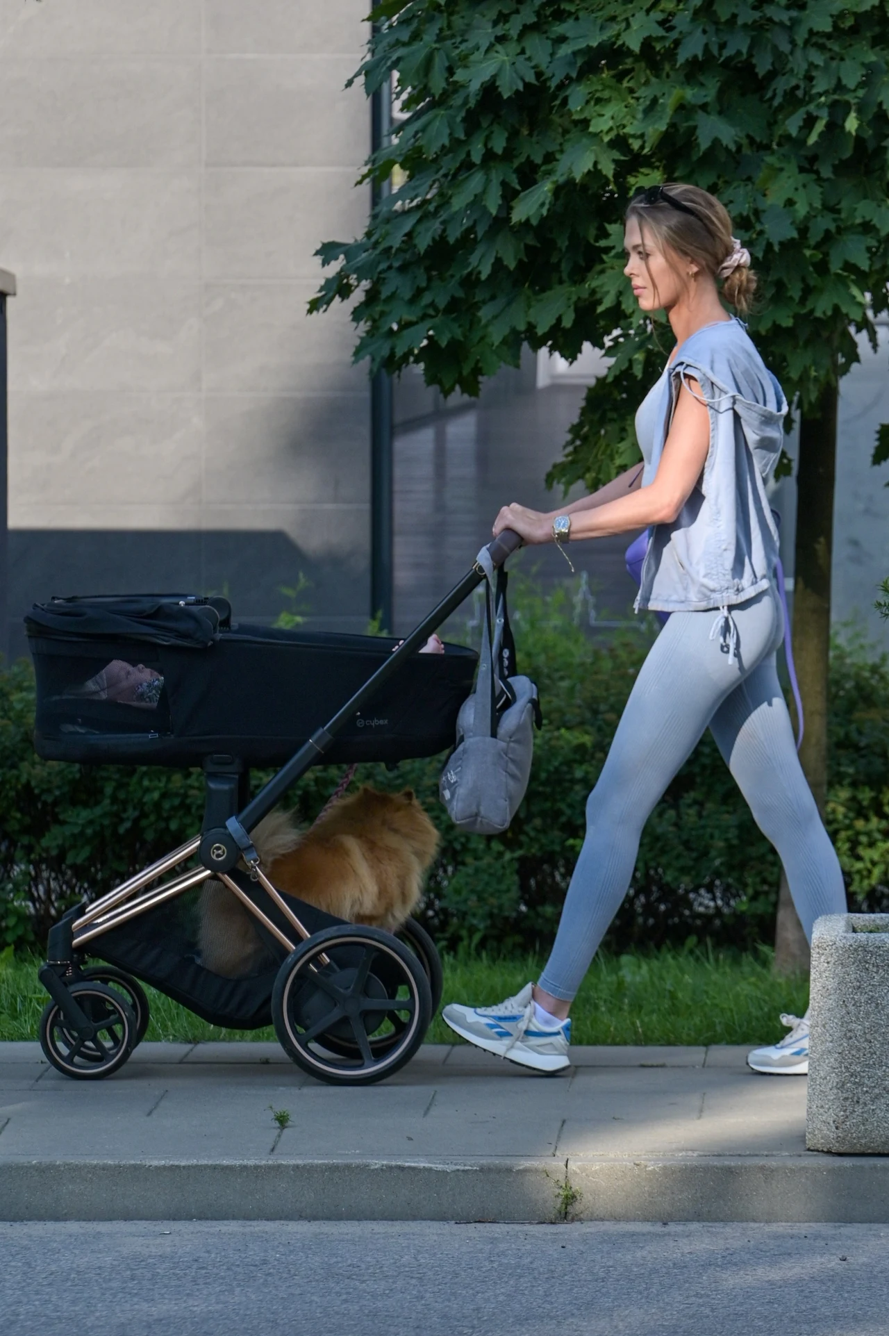 Wózek służy nie tylko małemu Vincentowi, ale również psu Wózek służy nie tylko małemu Vincentowi, ale również psu