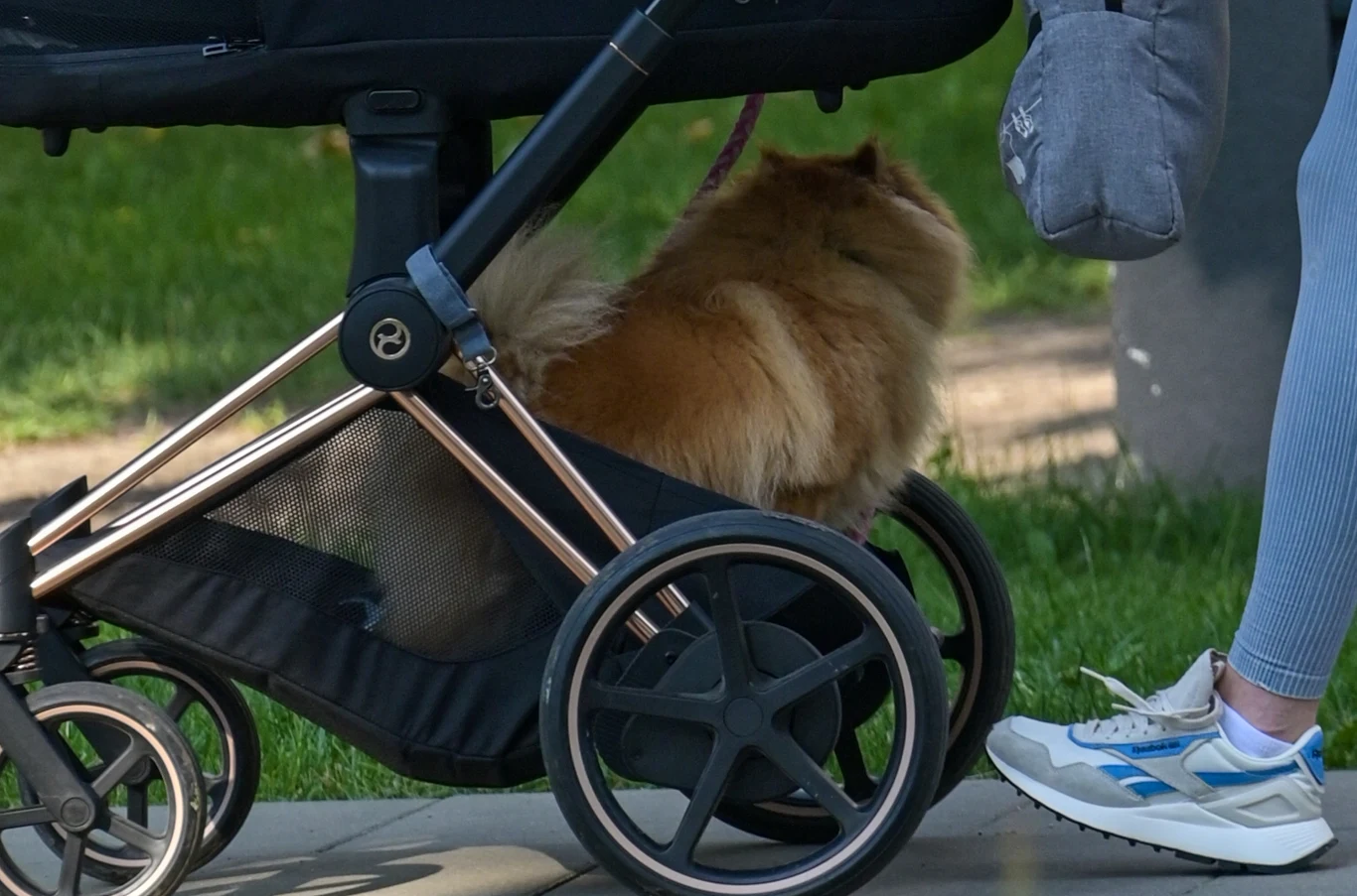 Czy to, aby na pewno higieniczne?