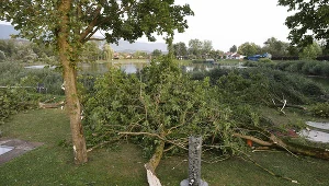 Gwałtowne burze nad Austrią. Drzewa przygniotły ludzi, wśród ofiar dzieci