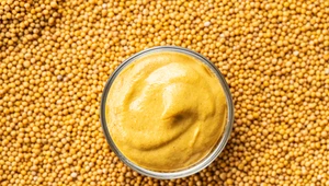 Musztarda