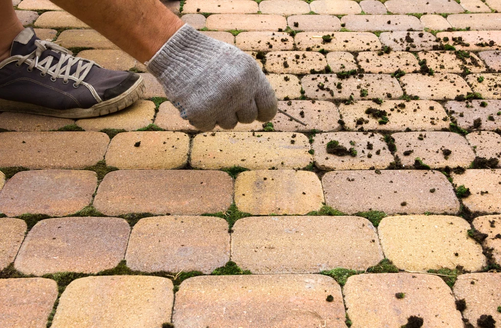 Pozbycie się mchu z kostki brukowej bywa uciążliwe i pracochłonne