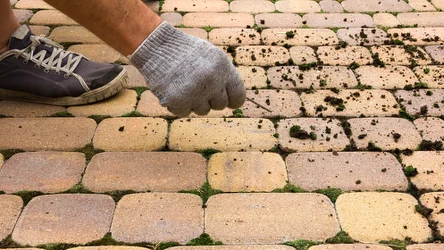 Kostka brukowa po zimie wymaga odświeżenia. Jak zrobić to domowym sposobem?