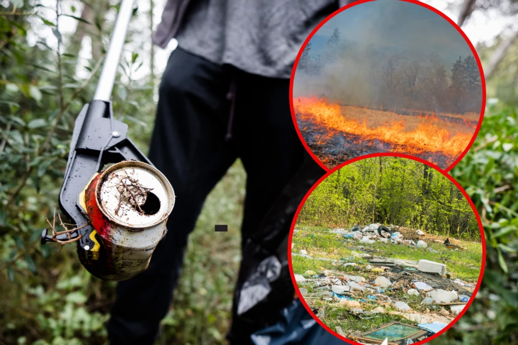 Polacy masowo zaśmiecają lasy i wypalają trawy. Na liście ekologicznych grzechów znajduje się o wiele więcej przewinień
