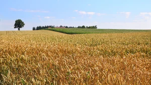 Kto przejmie najbardziej żyzne ziemie świata?