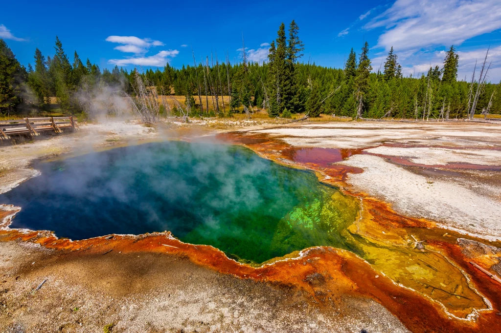 W jednym z gorących źródeł w Yellowstone odnaleziono fragment ludzkiego ciała