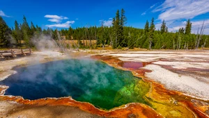 Makabryczne znalezisko w Yellowstone, czyli niebezpieczne gorące źródła