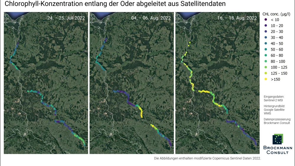 Zakwit alg w Odrze z podziałem na miesiące Zakwit alg w Odrze z podziałem na miesiące