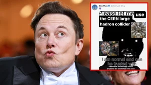 Elon Musk zażądał władzy nad "demoniczną technologią". Chce zniszczyć ludzkość?