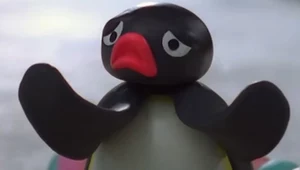 Pingu - fragment filmu zamieszczonego w serwisie YouTube.com na kanale @Pingu - Official Channel