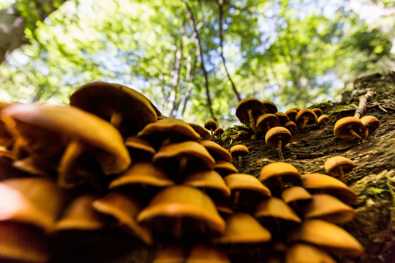 Przyroda potrafi zaskoczyć! Przyroda potrafi zaskoczyć!