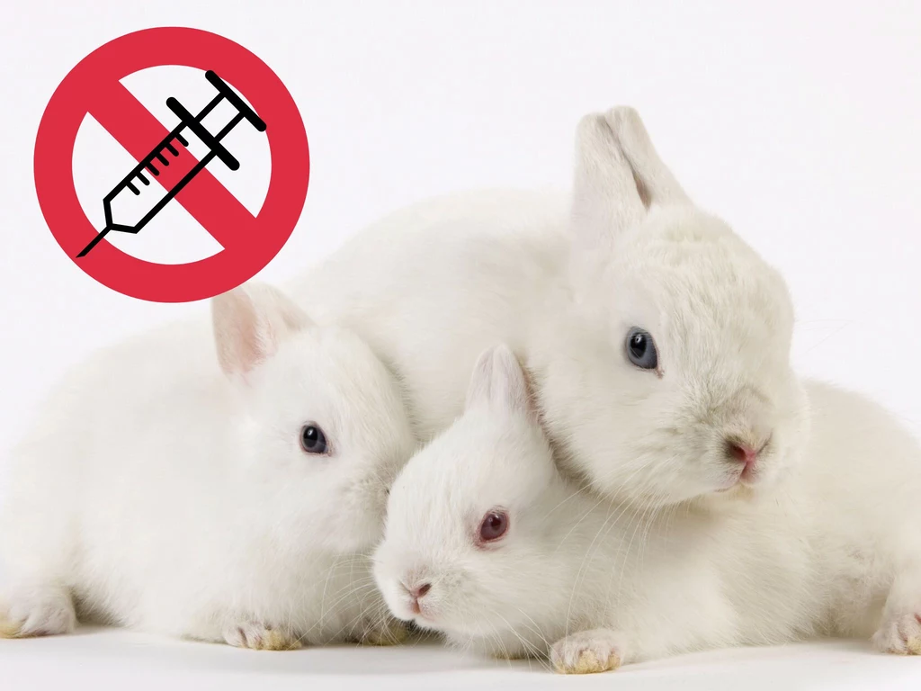 Inicjatywa chce zakazu testowania kosmetyków na zwierzętach