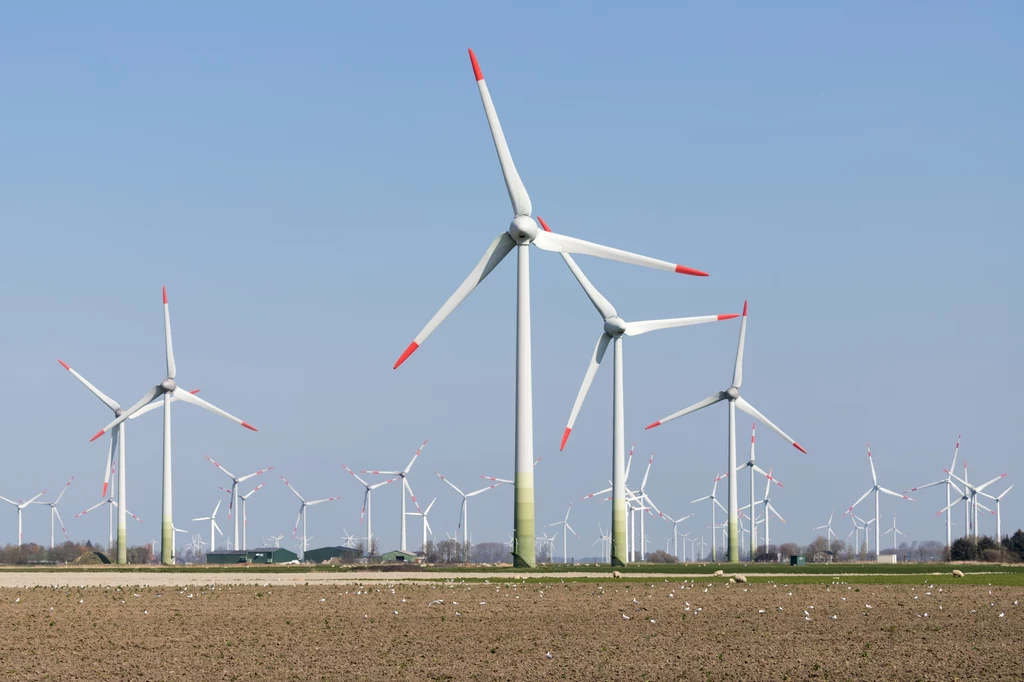 W nowelizacji ustawy wiatrakowej znalazła się poprawka dotycząca mrożenie cen energii