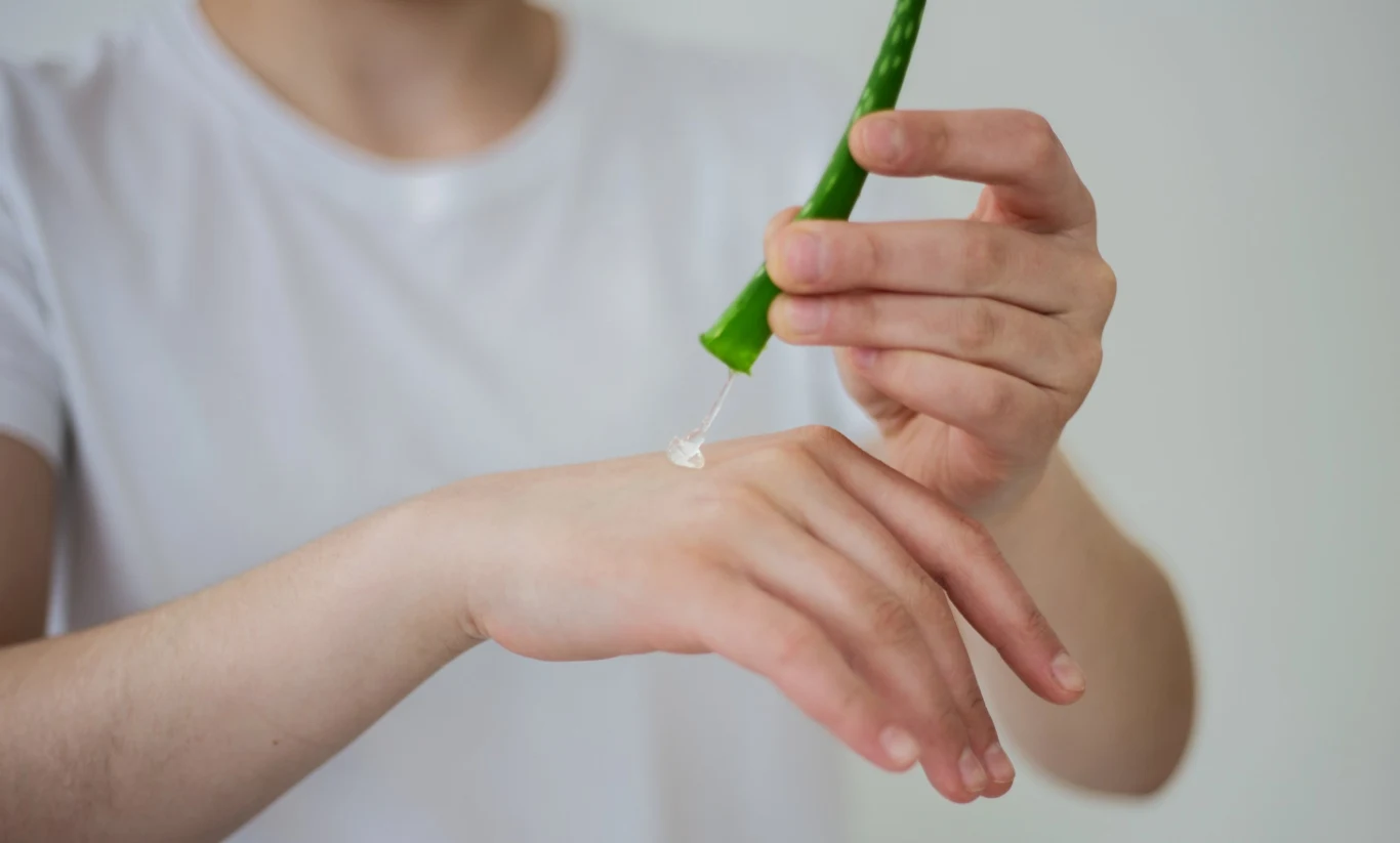 Aloes silnie nawilży i ujędrni skórę, co przedłuży trwałość opalenizny