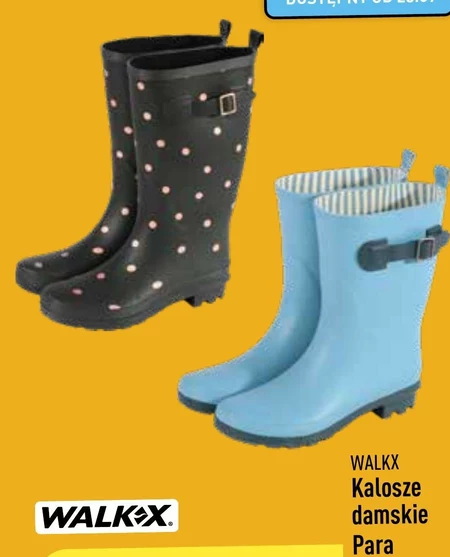 Kalosze Walkx