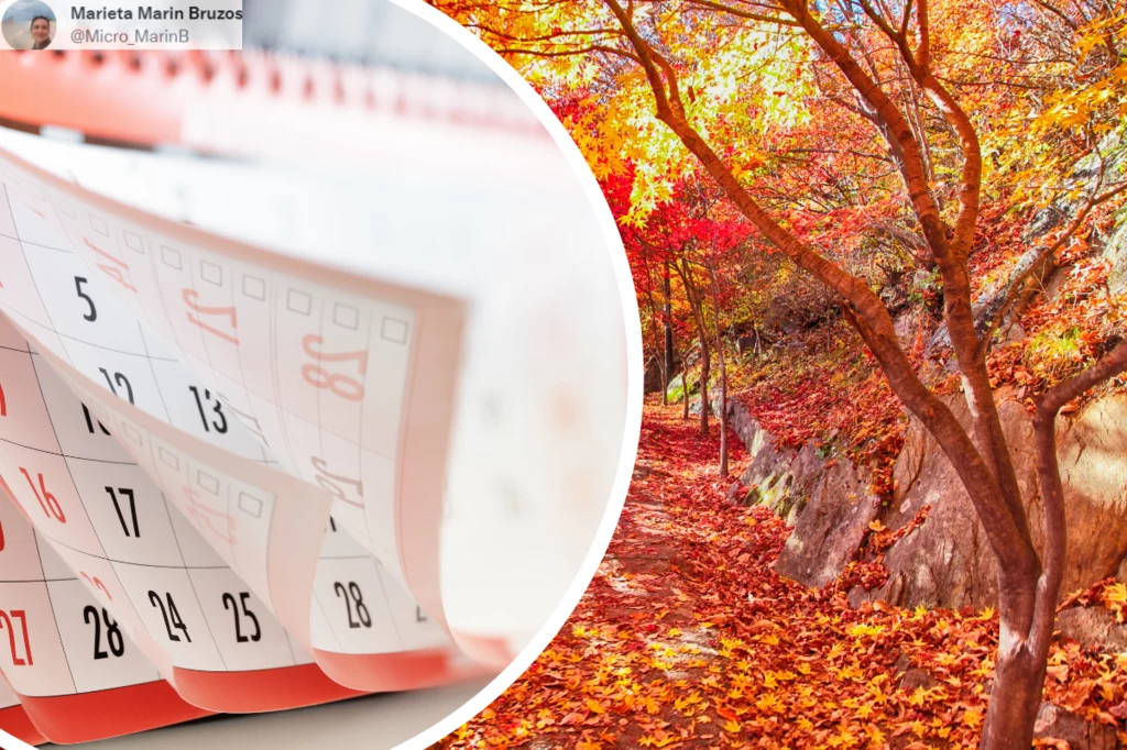 Pierwszy dzień jesieni: kiedy zaczyna się w Polsce? Przed nami niskie temperatury i pierwsze przymrozki Pierwszy dzień jesieni: kiedy zaczyna się w Polsce? Przed nami niskie temperatury i pierwsze przymrozki