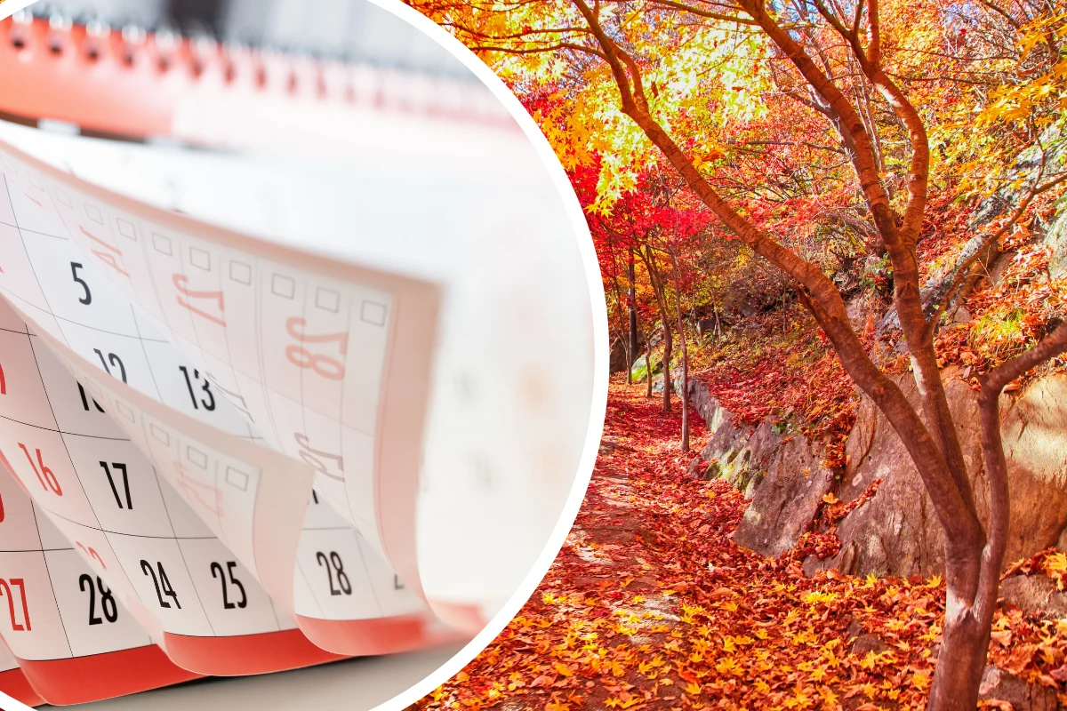 Najbliższy długi weekend w listopadzie. Co więcej, można go mocno przedłużyć! Najbliższy długi weekend w listopadzie. Co więcej, można go mocno przedłużyć!