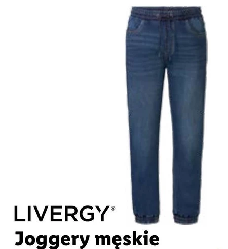 Joggery męskie Livergy