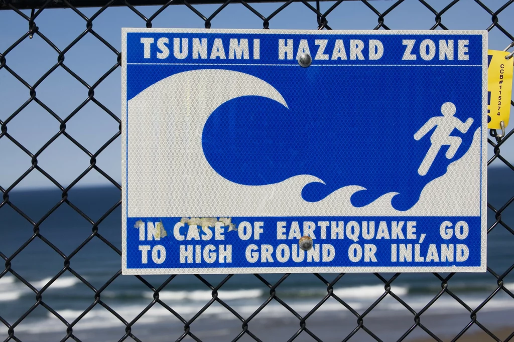Na pełnym morzu przejście fali tsunami, poruszającej się z wielką prędkością (do 900 km/h), może być nawet niezauważone