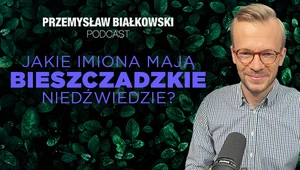 Sekretne życie niedźwiedzi w Bieszczadach. Jakie mają imiona?