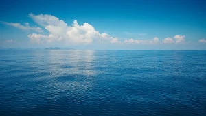 Głęboko w oceanach znajdują się rozległe pokłady bogate w cenne pierwiastki